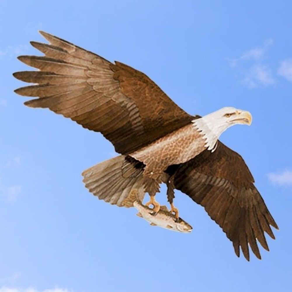 Jackite Eagle Assembled Bald Eagle Kite New In Package Never Opened